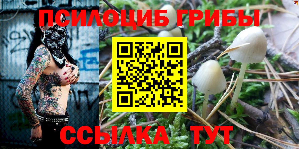 Галлюциногенные грибы GOLDEN TEACHER  Вход с VPN  даркнет сайт  Элиста 